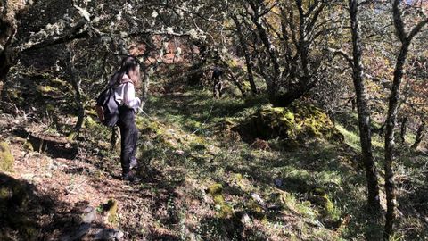 Estudiantes del centro realizan mediciones para instalar las cámaras automáticas que se utilizan en un estudio cuyo objetivo es calcular la densidad de población de jabalíes en la sierra