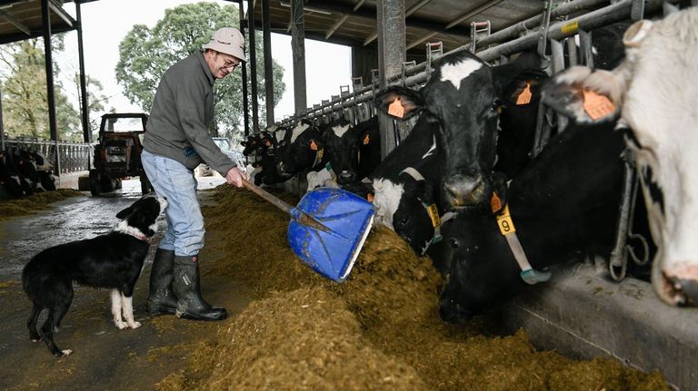 La sucesión de temporales en Galicia pone en riesgo las cosechas y el marisqueo