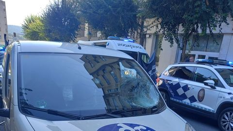El vehículo implicado en el atropello mortal, con un impacto en el parabrisas