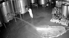 Un encapuchado se cuela en una bodega vallisoletana y derrama 60.000 litros de vino