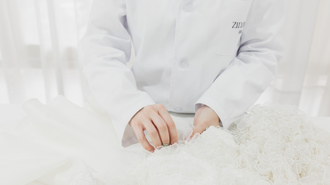 Zinnia Brand
