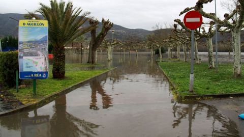 Inundaciones en la provincia de Ourense.La crecida del Sil ha inundado O Aguilln y la chopera de A Ra de Valdeorras