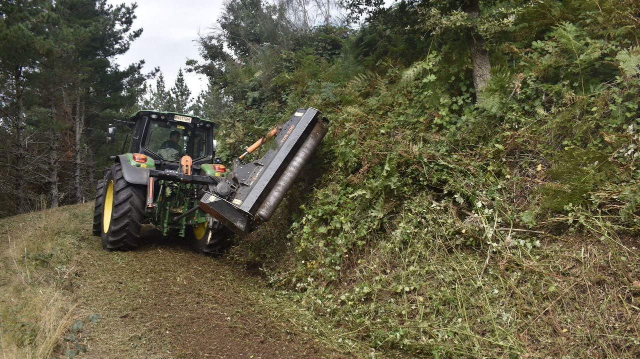 Trabajos de desbroce en el distrito forestal Lugo-Sarria