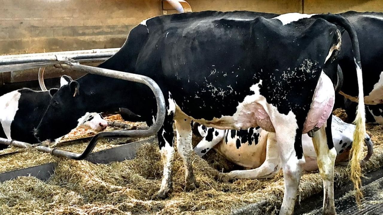 Residencia Nosa Se�ora do Carme de Sarria