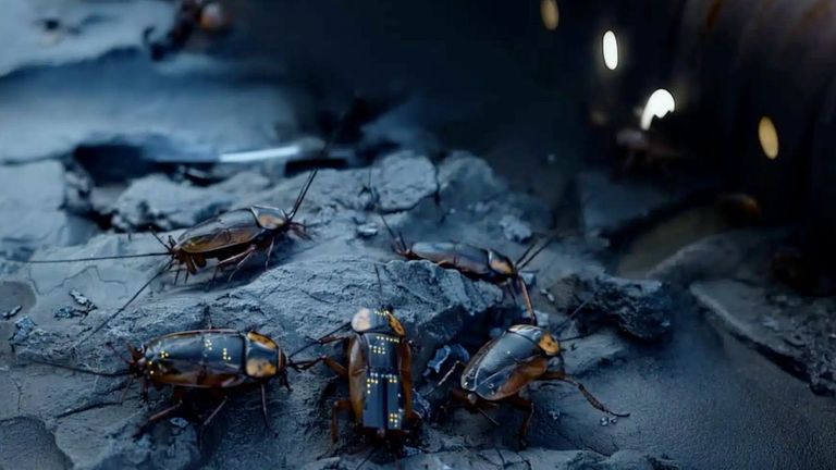 Cucarachas y ciempiés robóticos abaratan los costes a las empresas