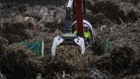 La planta de biomasa de Greenalia en Teixeiro (Curtis) tiene capacidad para tratar al año medio millón de toneladas de residuos forestales