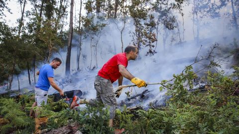 El ltimo incendio en Tllara calcin unas 60 hectreas el verano pasado