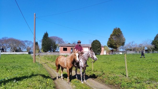 Gaucho uruguayo de Narn que ayud a rescatar el caballo suelto en Mugardos