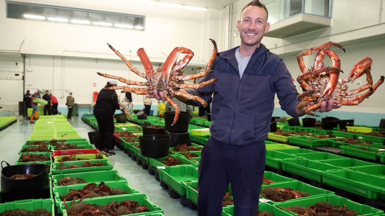 La centolla llega a 35 euros en un inicio de campaña solo exitoso en O Grove