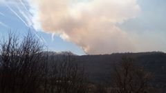 Vista del incendio en Palacios del Sil