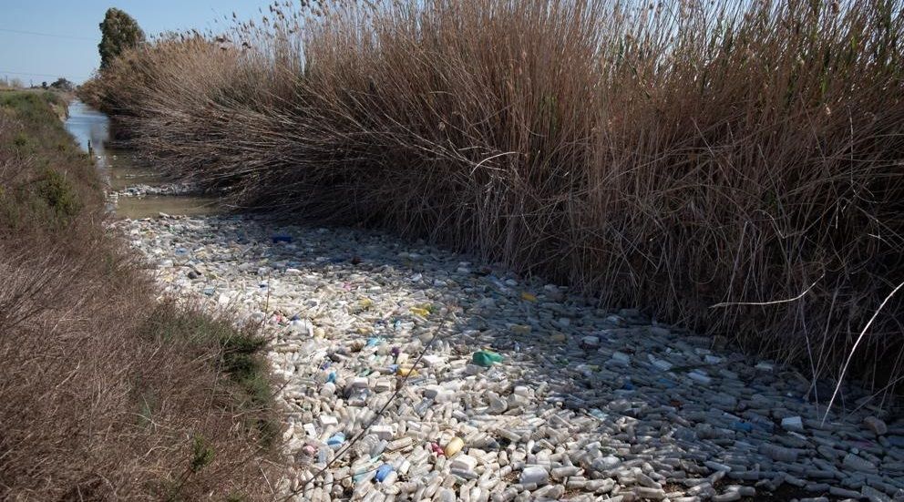Miles de kilos de basura se concentran en el desembocadura del río Segura