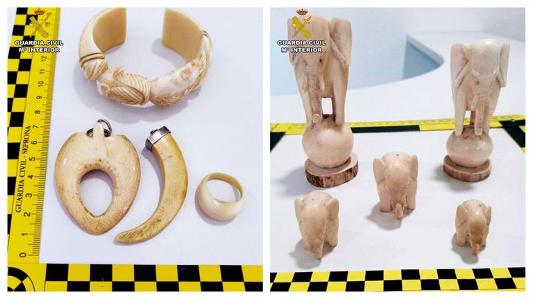 Un vecino de Neda y otro de A Coruña traficaban ilegalmente con joyas de marfil de elefante y las vendían en Internet