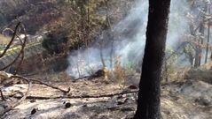 Incendio entre Carballeda de Avia y Ribadavia