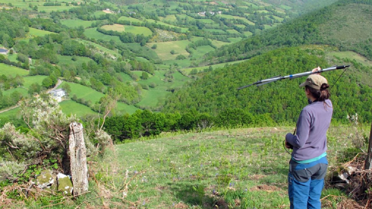 Localizaci�n de murci�lagos mediante radiotransmisores dentro de un proyecto de investigaci�n sobre estos animales que se desarroll� en las sierras de O Courel y Os Ancares
