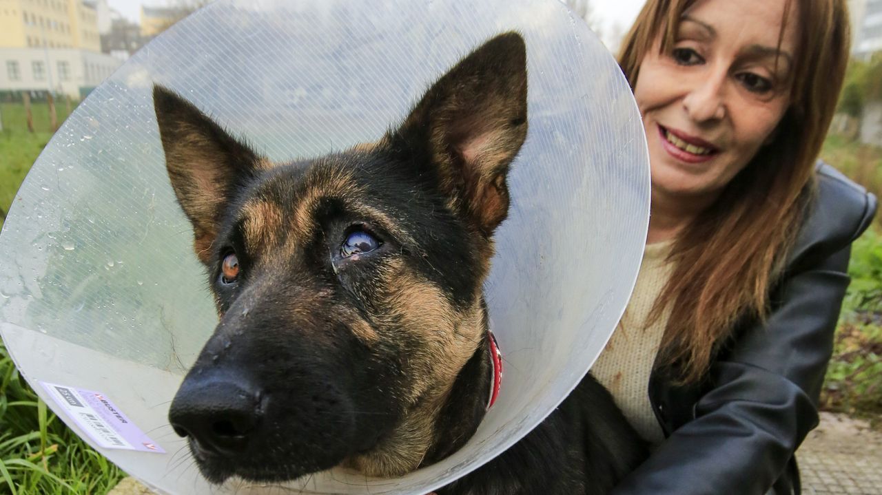 Im�genes que dej� un soleado domingo de carnaval.El accidente se produjo cerca de la depuradora de Sarria