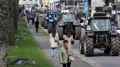 Manifestacin de ganaderos y agricultores en Lugo