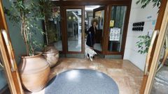 Desde hace un mes y medio, el Hotel Alda Suizo de Ferrol permite el alojamiento con perros en sus instalaciones