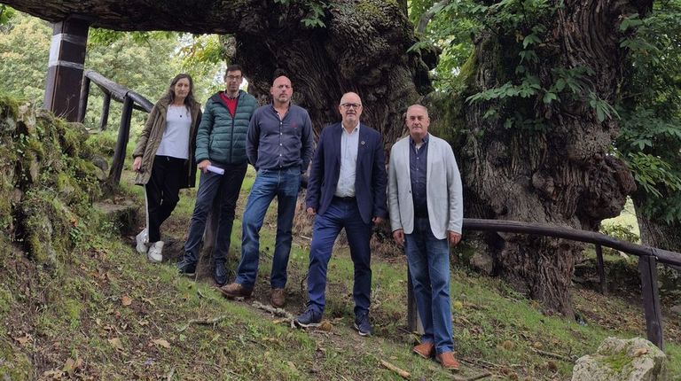El subdelegado del Gobierno en Ourense, Eladio Santos, visitó el castiñeiro de Pumbariños junto al alcalde y varios ediles del grupo de gobierno.