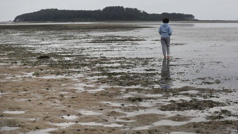 Una solución múltiple para la ría de Arousa: fin de los vertidos, dragado del Ulla y control de las ouxas