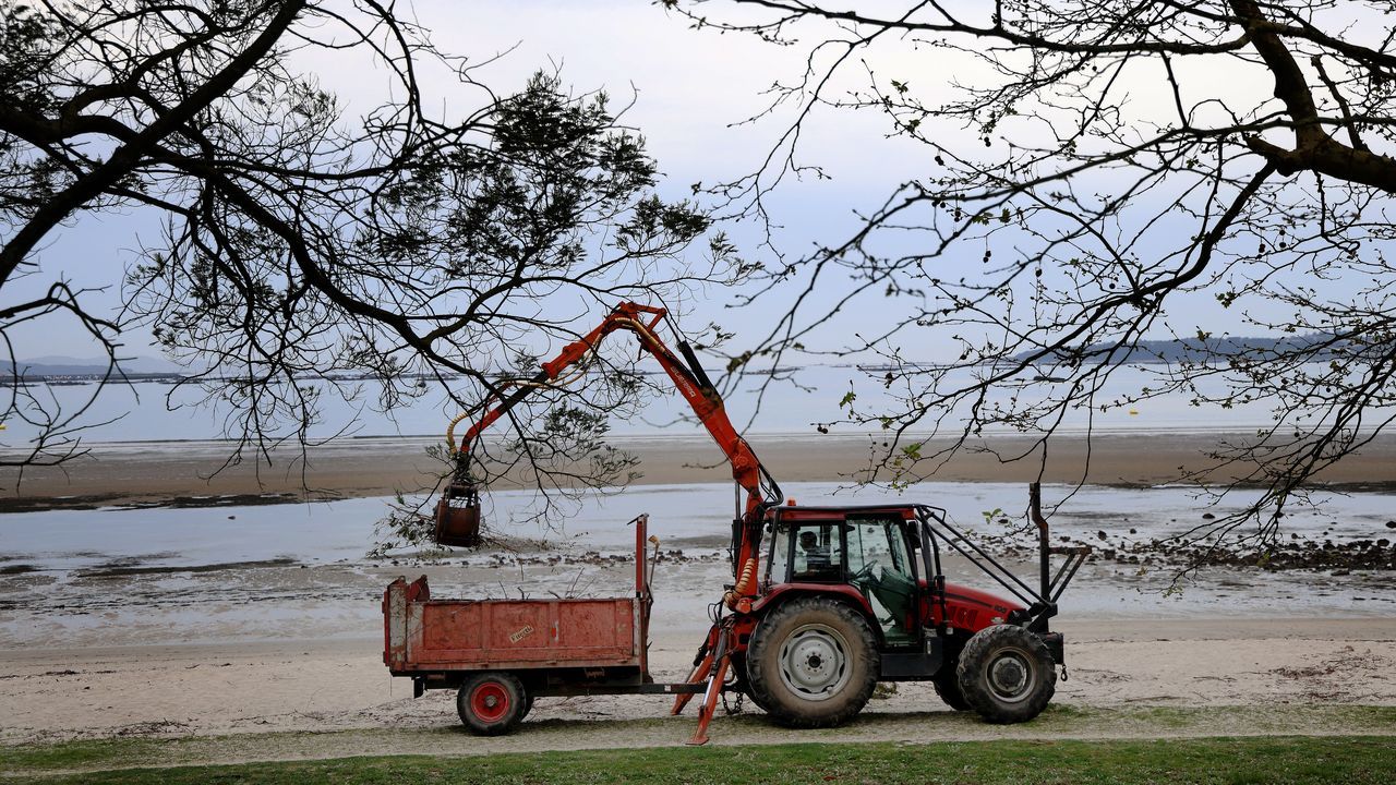 Un tractor realizando una limpieza en la playa de Barra�a, en Boiro