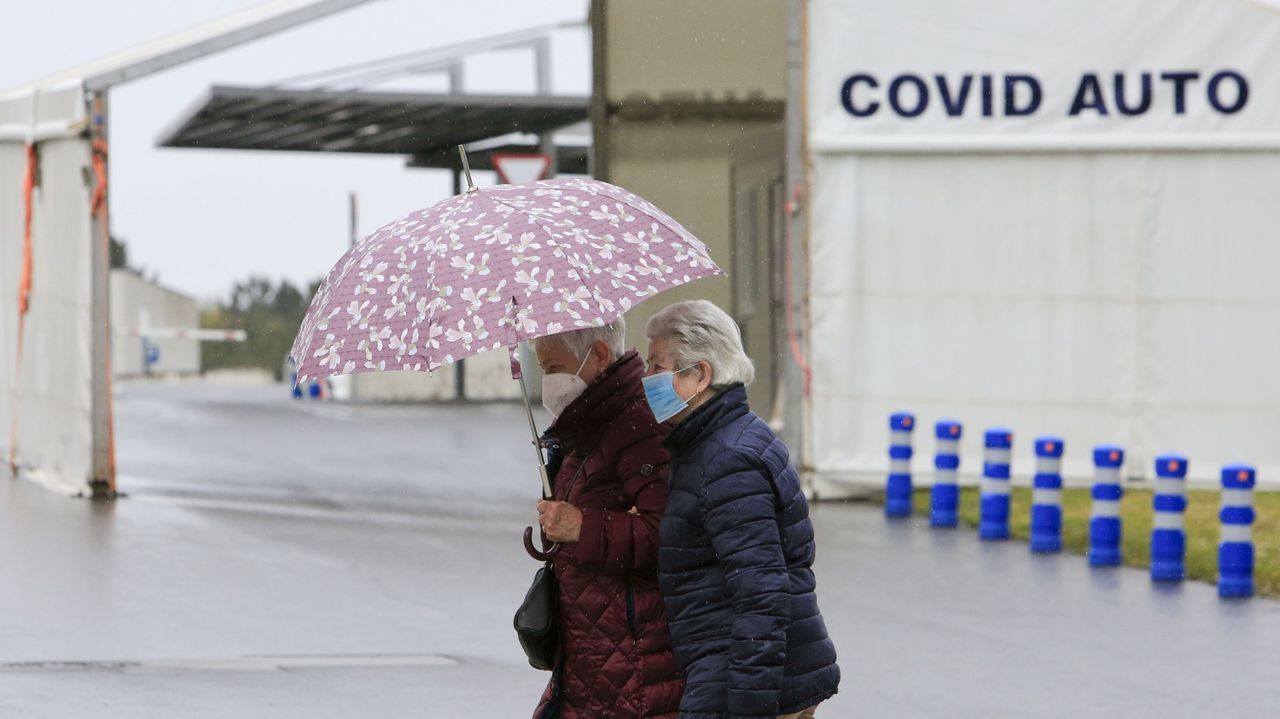 La vaca criada en Chantada, en Silleda el d�a en que se vendi�
