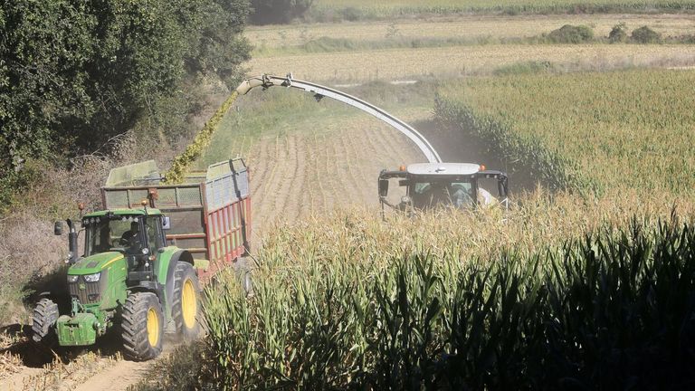 El Santander inyectó 320 millones de euros en el sector agroalimentario gallego durante 2025