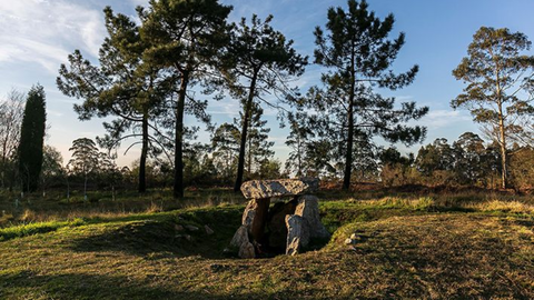 Necr�polis Megal�tico - Tumular Monte Areo