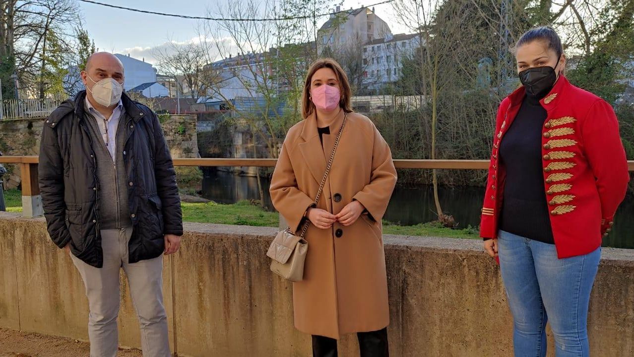 Pisos y casas que la Sareb ha rebajado Lugo.Varios nidos de cig�e�as est�n saturando un pino a las afueras de la ciudad de Lugo.