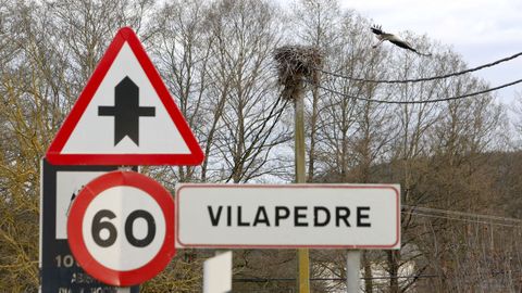 Vilapedre, en Sarria, y Maceda, en Láncara, son los lugares con mayor presencia de estas aves