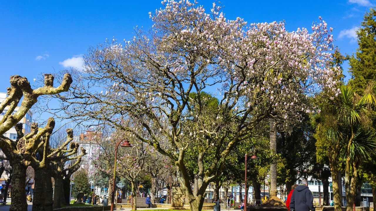 Esta es la cloaca romana de Lugo que se podr visitar.Carballo