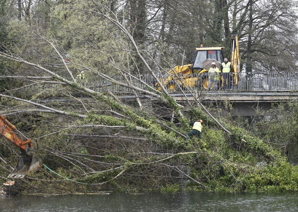 Las talas de �rboles en Sarria se ejecutaron a finales del mes de marzo del 2014. 