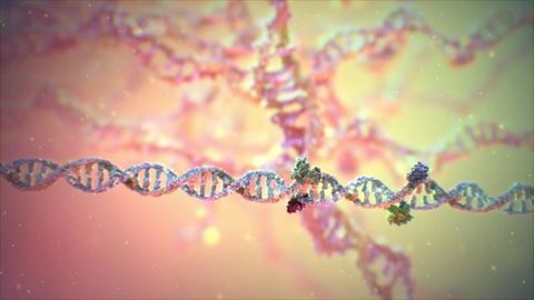 Edicin de genes por el sistema CRISPR