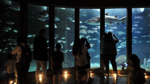 Aquarium Finisterrae, en A Coruña