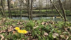 Paseo del r�o en Pola de Siero