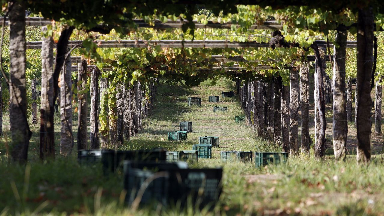 Obras del ascensor paralizadas en la Avenida de las Conchi�as en A Coru�a.Una pintada, en el mismo punto de la playa de Coira en el que la pandilla de amigos de los ocupantes del kayak se juntaban siempre, recuerda a Miguel Quan y a Javier Hurtado