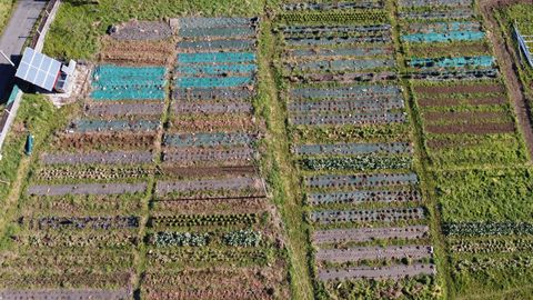 Imagen aérea de la huerta en la que tienen algunos de los cultivos que luego deshidratan con energía solar. Arriba a la izquierda puede verse una placa. 