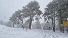 Cae una intensa nevada sobre la estacin de montaa de Manzaneda