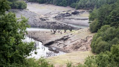 El bajo nivel del embalse contrasta con la abundante vegetación de las orillas
