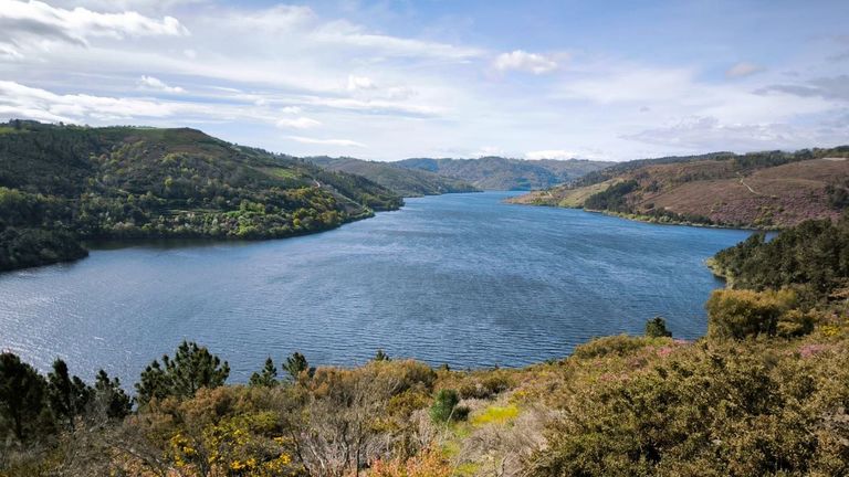Vista del Miño desde la zona en la que se instalará el mirador del monte de A Cariza