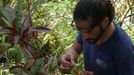 Carlos Magdalena, examinando un ejemplar de planta en Isla Mauricio