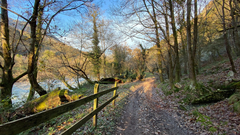 Ruta de los Salmones