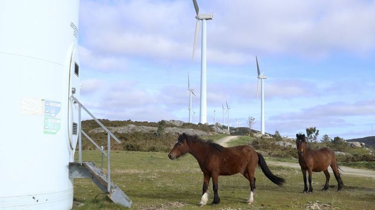El eólico gallego espera para mayo el fallo judicial que deshaga el parón