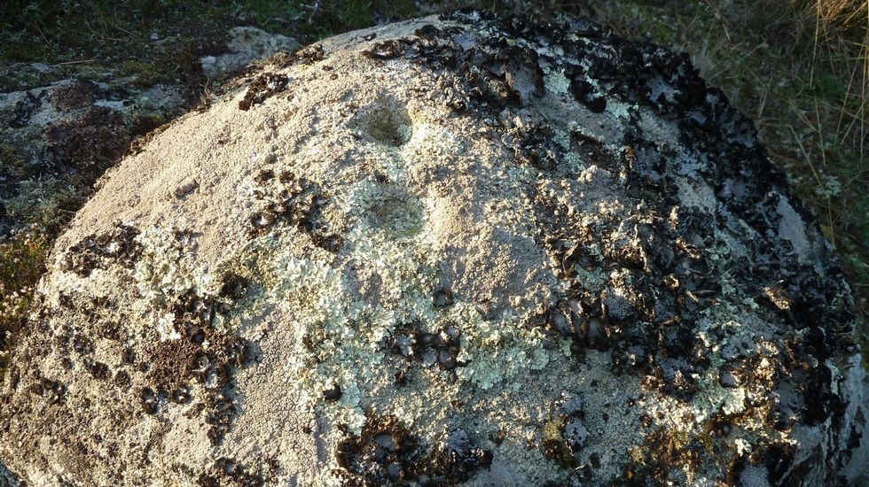 Una de las rocas con petroglifos halladas en el monte de Lobios