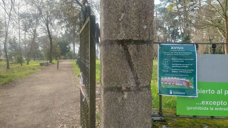 Sanxenxo advierte sobre las orugas de la procesionaria