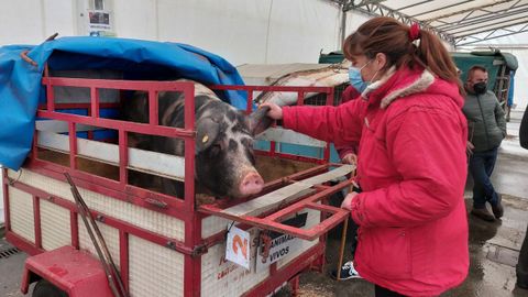 A la feria acuden criadores procedentes de diversos municipios chairegos.