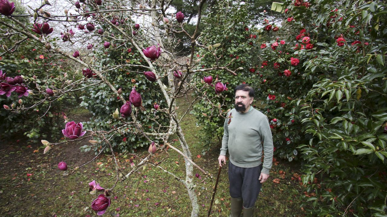 As es el primer hotel temtico de cine que hubo en Espaa, Mi Norte, en Ribadeo.El propietario de la finca, de casi tres hectreas y media, rodeado de magnolias y camelias en flor