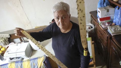 Manoli Castro, vecina de O Val, en Narn, muestra una tira atrapamoscas en su cocina