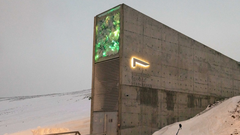 Imagen del Banco Mundial de Semillas de Svalbard (Noruega)