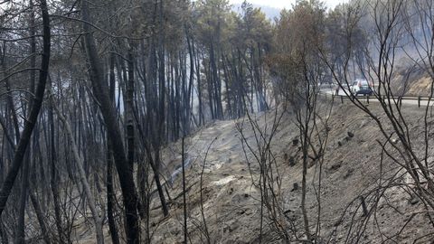 Terrenos quemados por el incendio junto a la carretera LU-933 en la parroquia de Nocedo, del municipio de Quiroga