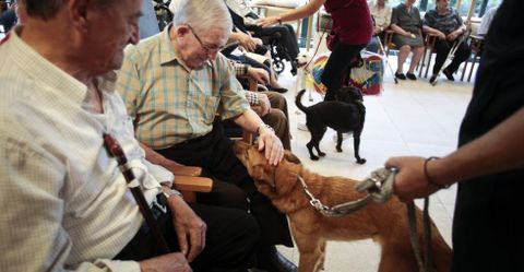 Los mayores de Laln interactuaron con perros, en el primer da de celebracin de los 7 aos de Geriatros.